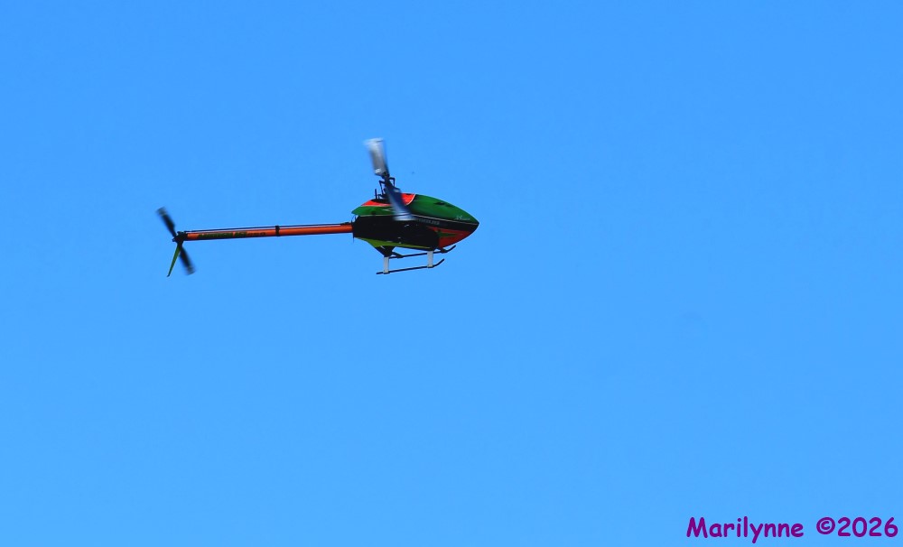 DSC_3566_001.JPG
