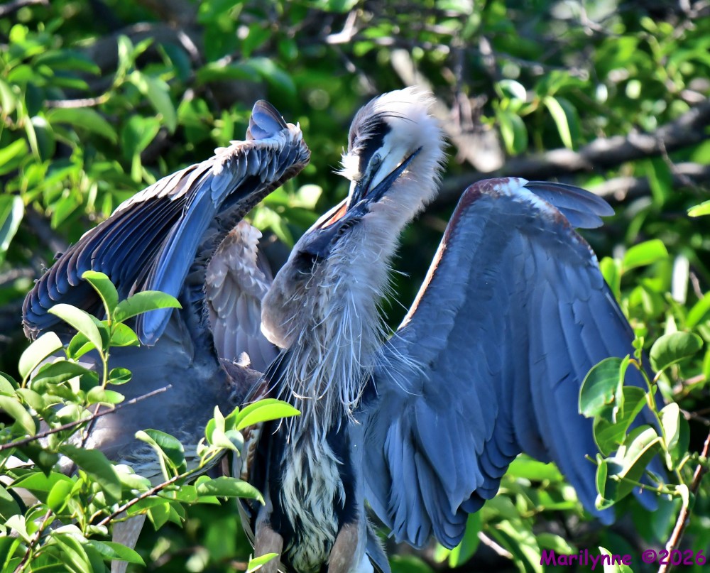 DSC_3569_001.JPG