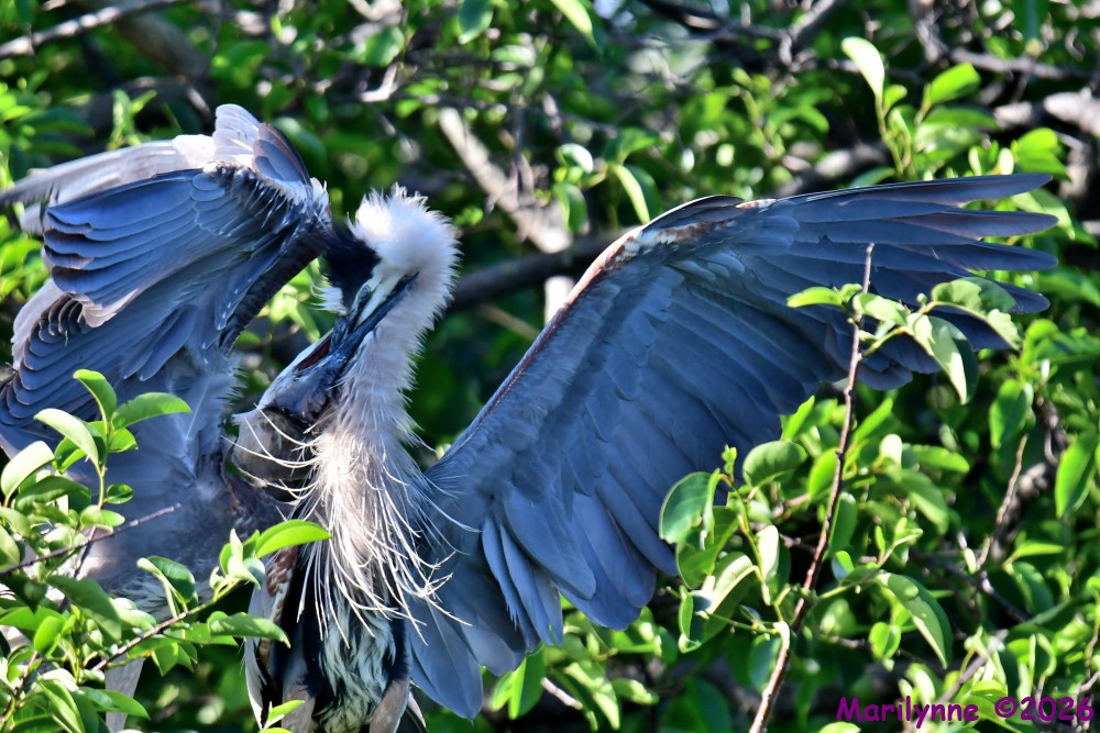 DSC_3570_001.JPG