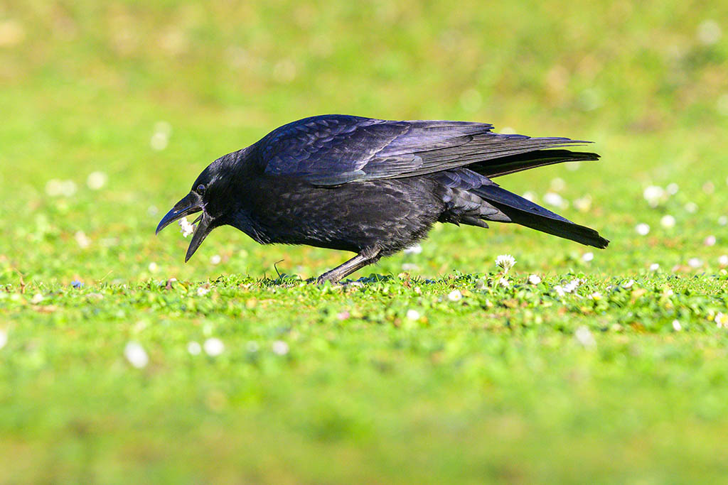 DSC_3573.jpg
