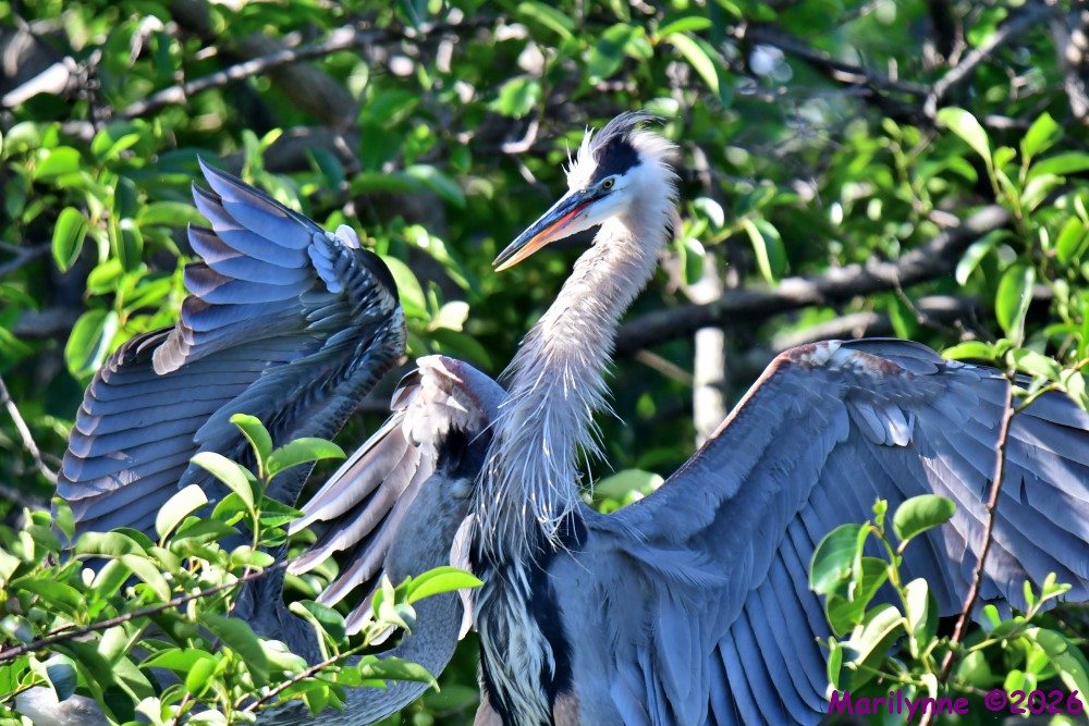 DSC_3573_001.JPG
