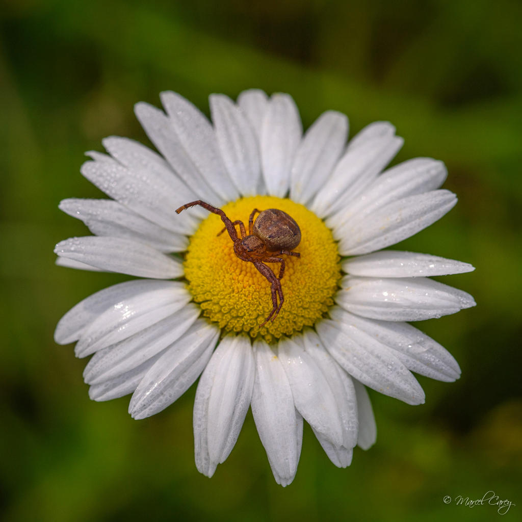DSC_3576.jpg