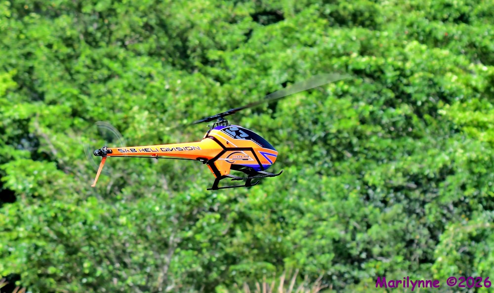 DSC_3576_001.JPG