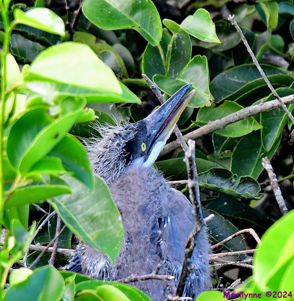 DSC_3578_001.JPG