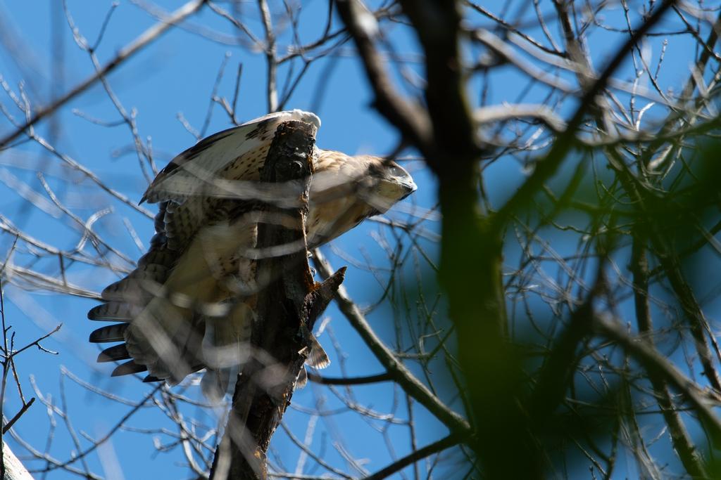 DSC_3581.jpg