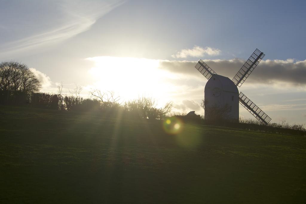 DSC_3584.jpg
