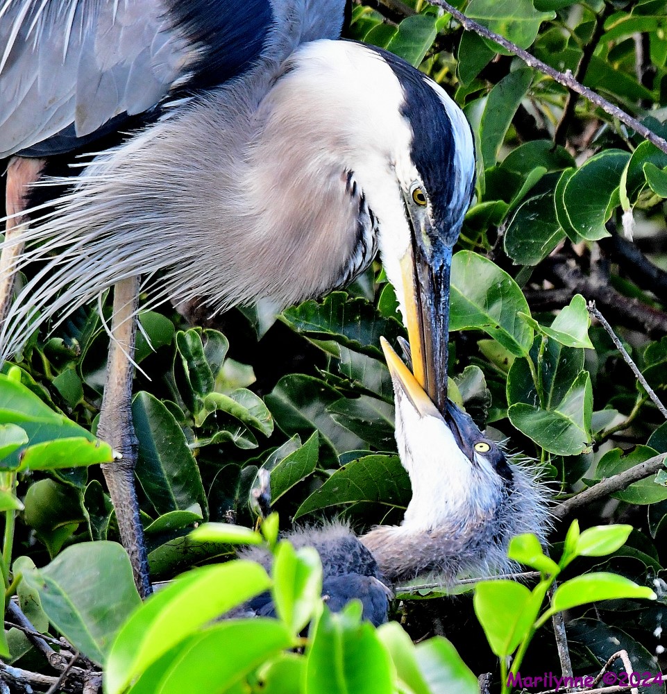 DSC_3584_001.JPG
