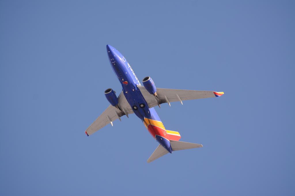 DSC_3586.jpg