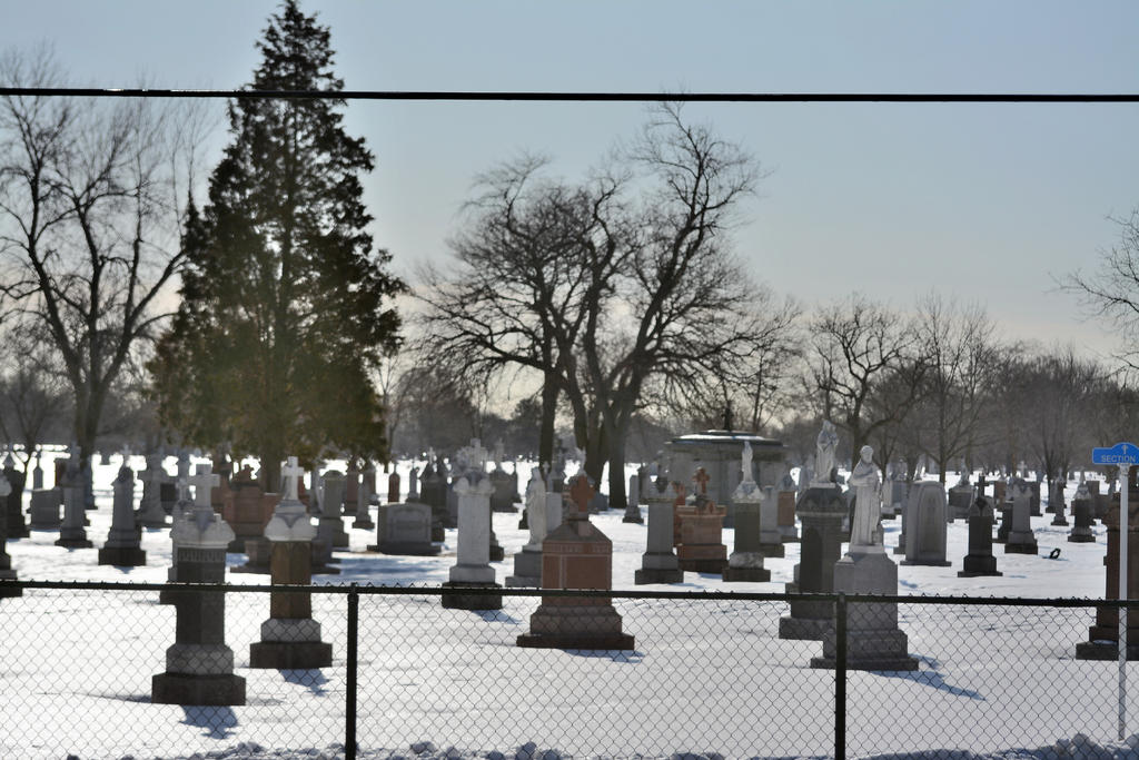DSC_3590.jpg