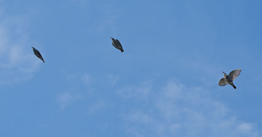 DSC_3592.jpg