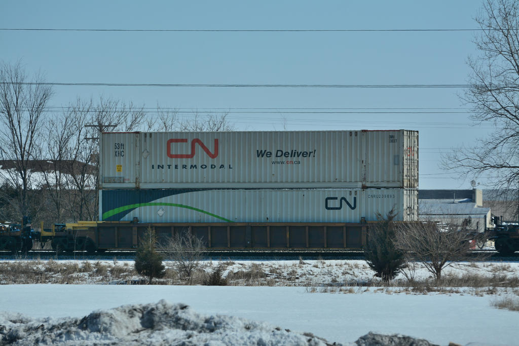 DSC_3594.jpg