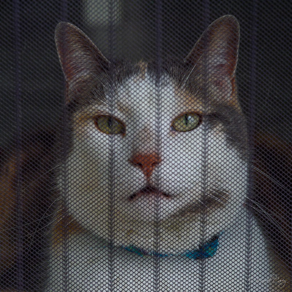 DSC_3599.jpg