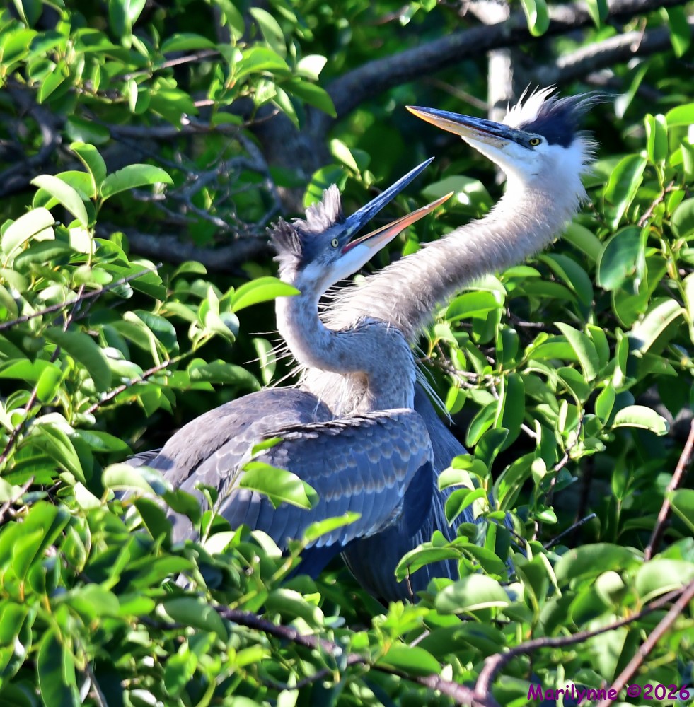 DSC_3600_001.JPG