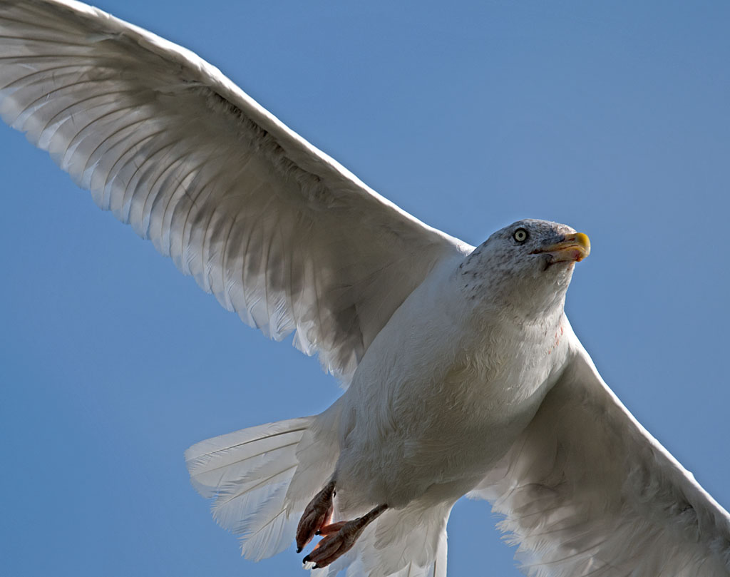 DSC_3618.jpg