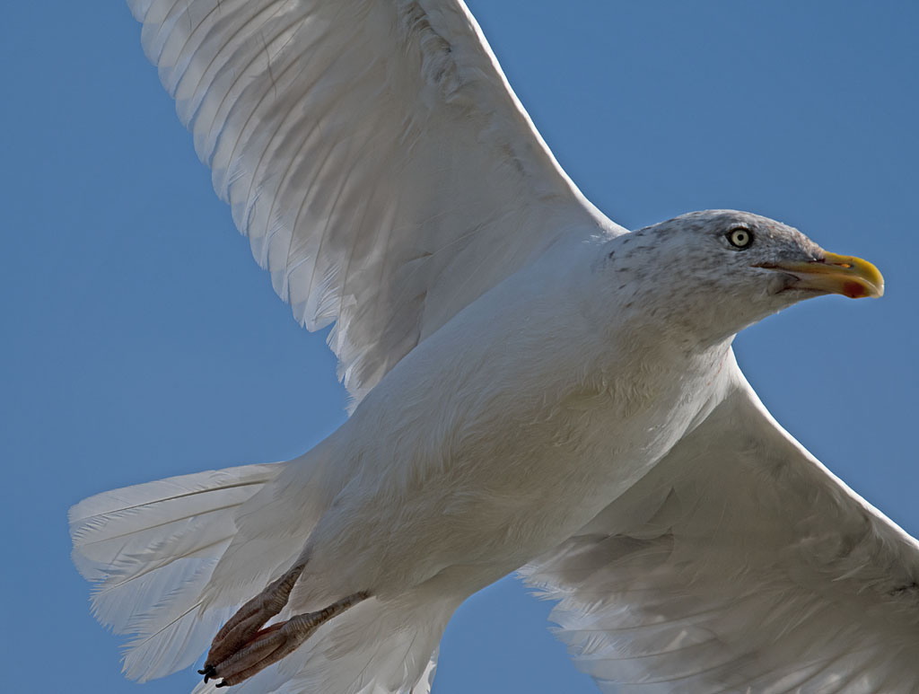 DSC_3619.jpg