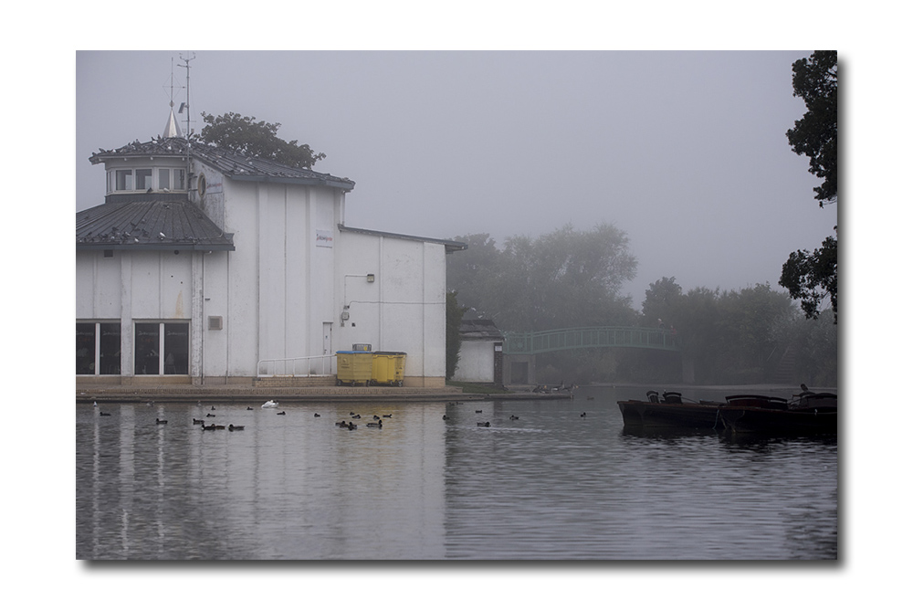 DSC_3622.jpg