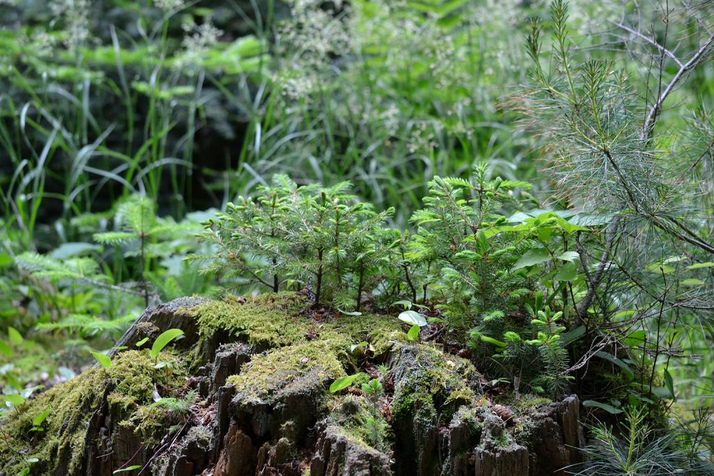 DSC_3623.jpg