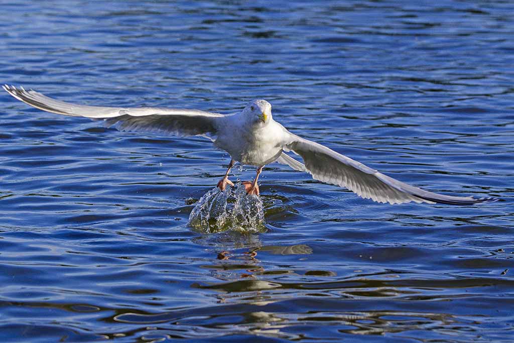 DSC_3626.jpg