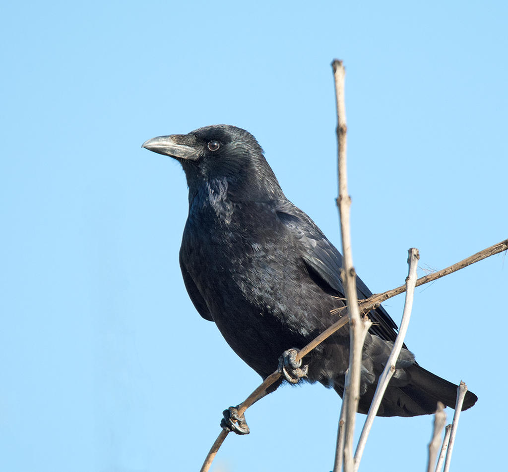 DSC_3628.jpg