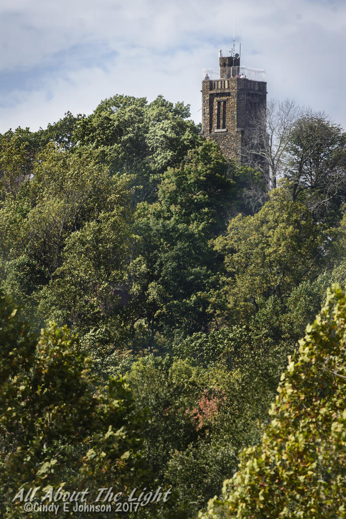 DSC_3629 low res.jpg