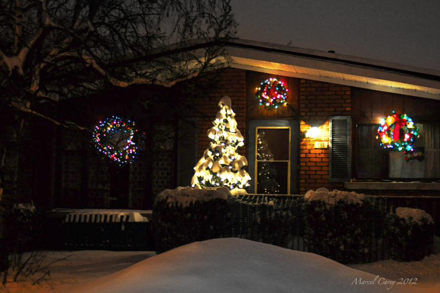 DSC_3631.jpg