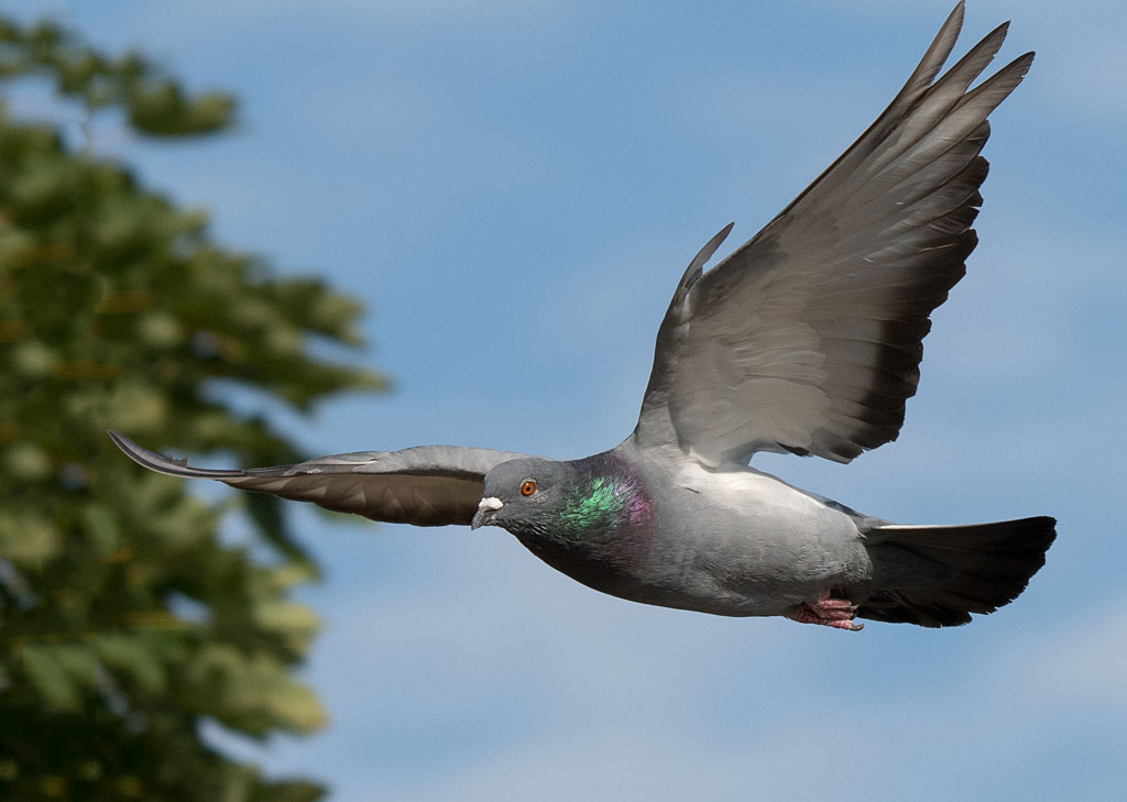 DSC_3631.jpg