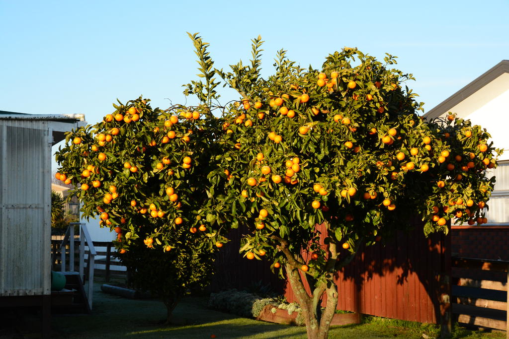 DSC_3632.jpg