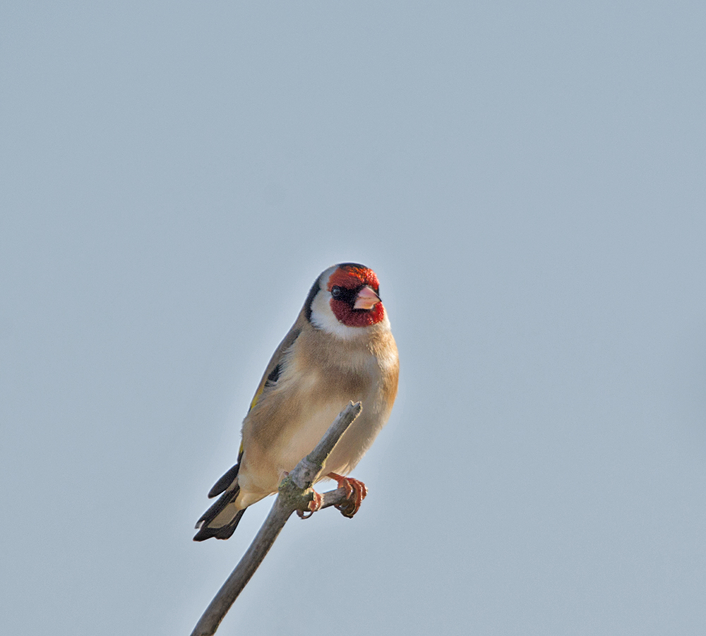 DSC_3636.jpg