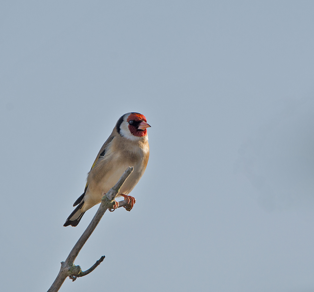DSC_3637.jpg