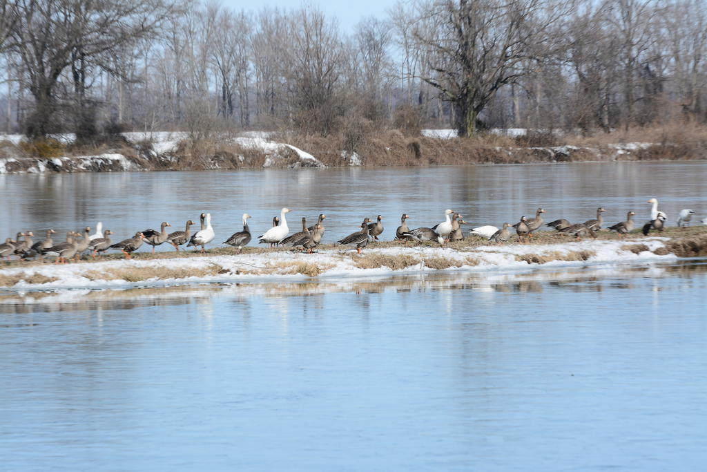 DSC_3639.jpg