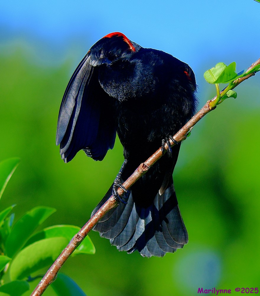 DSC_3642_001.JPG