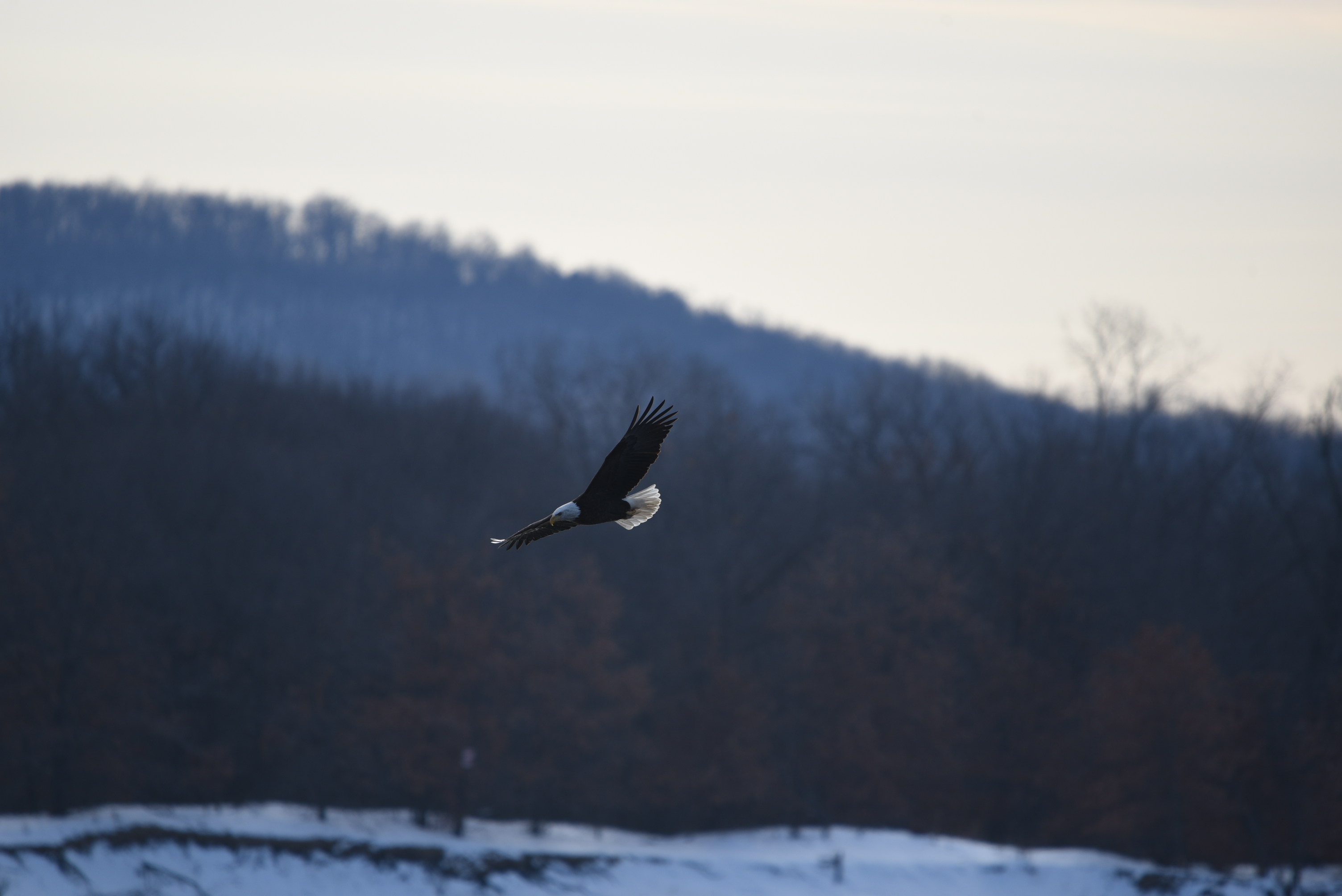 DSC_3649.JPG