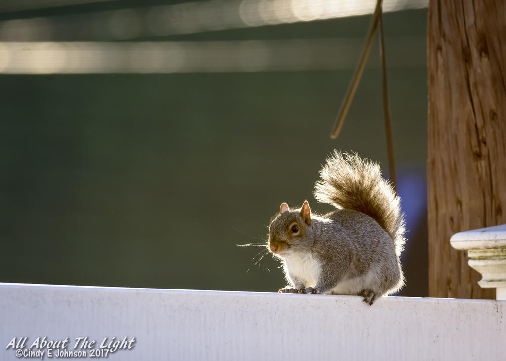 DSC_3650 low res.jpg