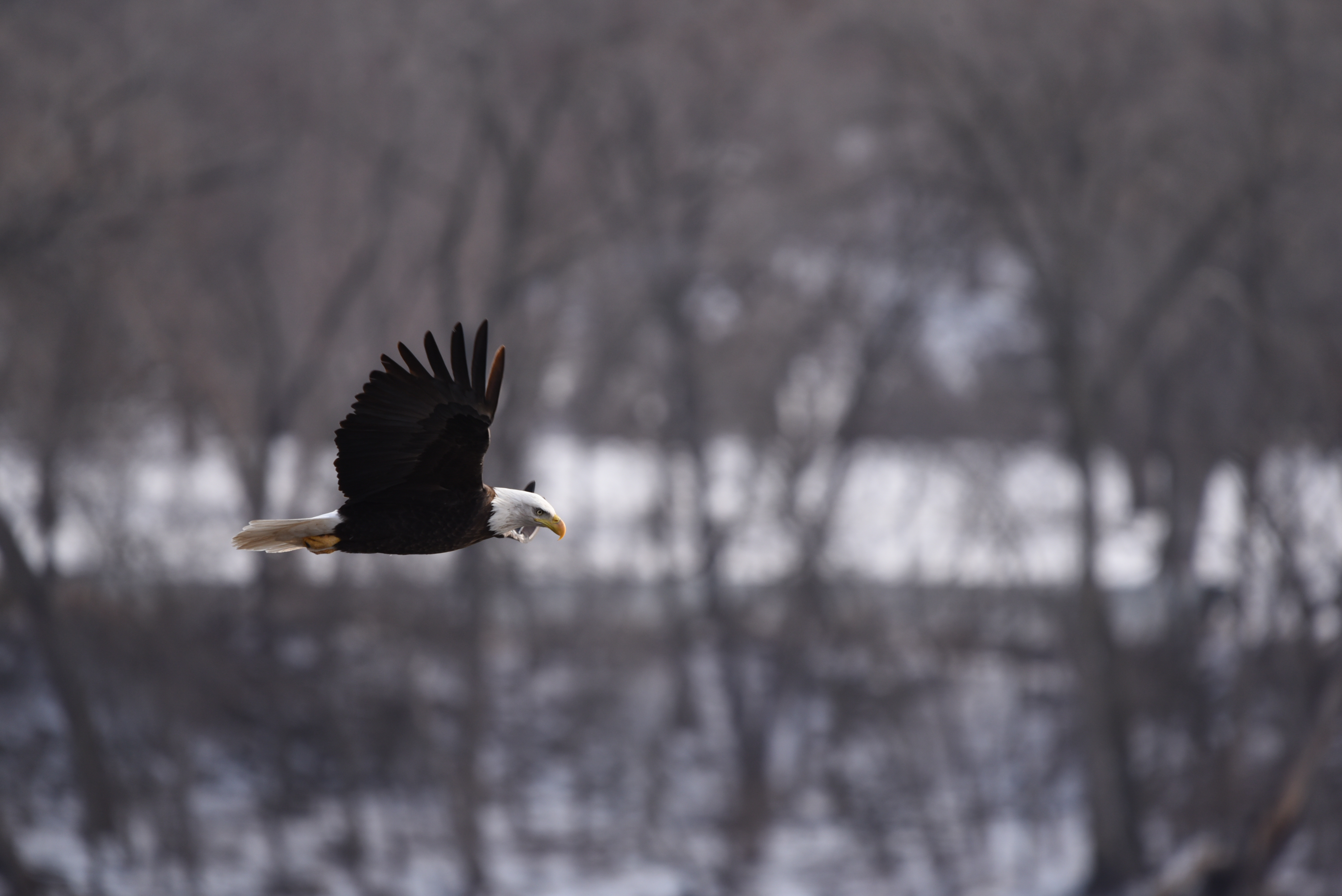 DSC_3656.JPG