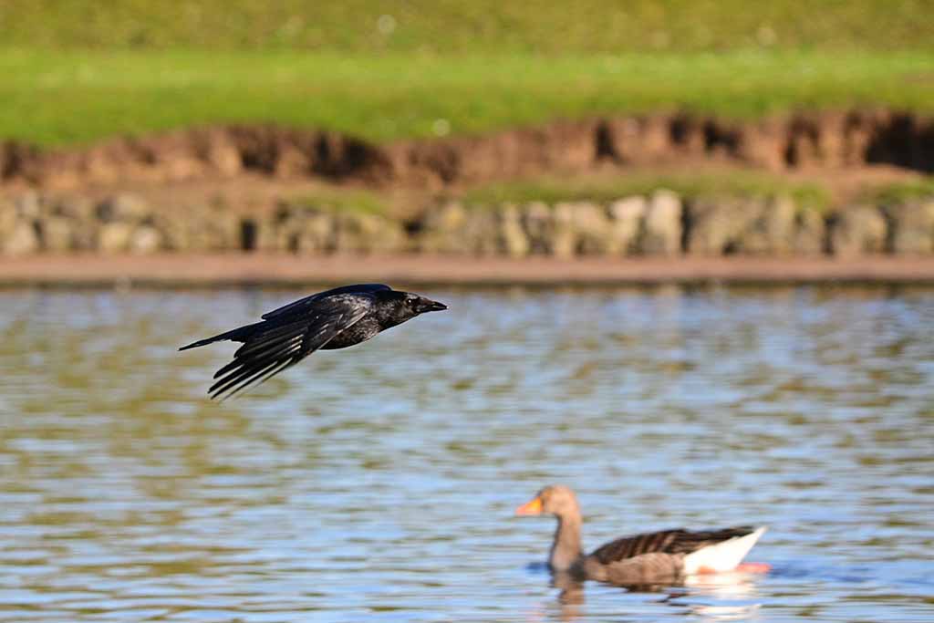 DSC_3660.jpg