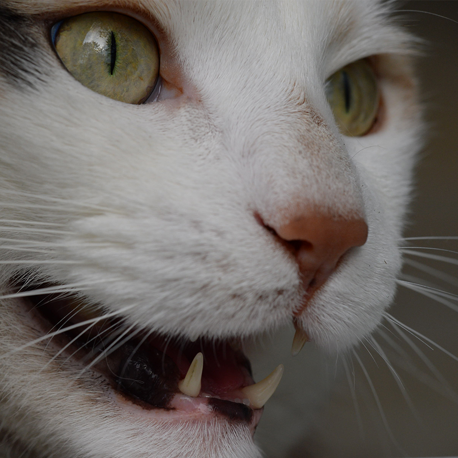 DSC_3663.jpg