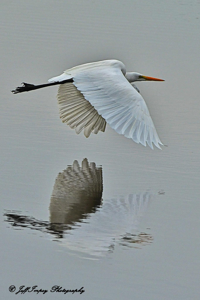 DSC_3663.jpg