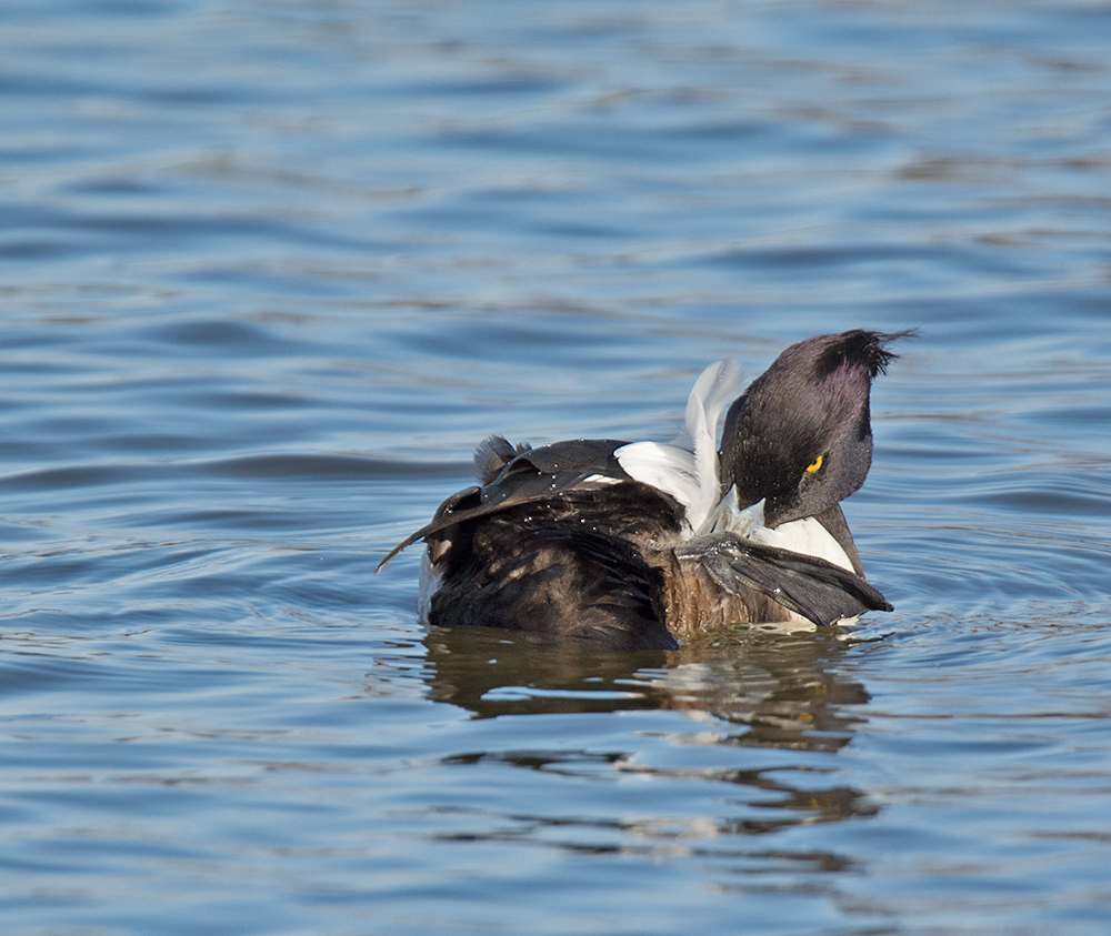DSC_3664.jpg