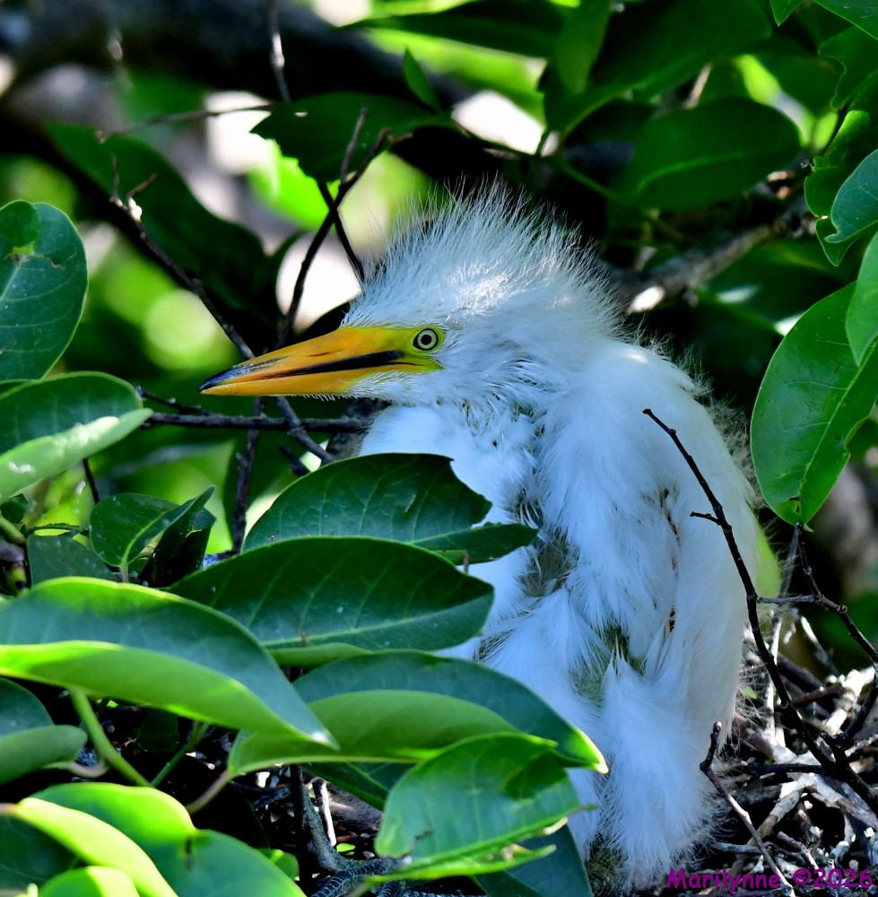 DSC_3674_001.JPG