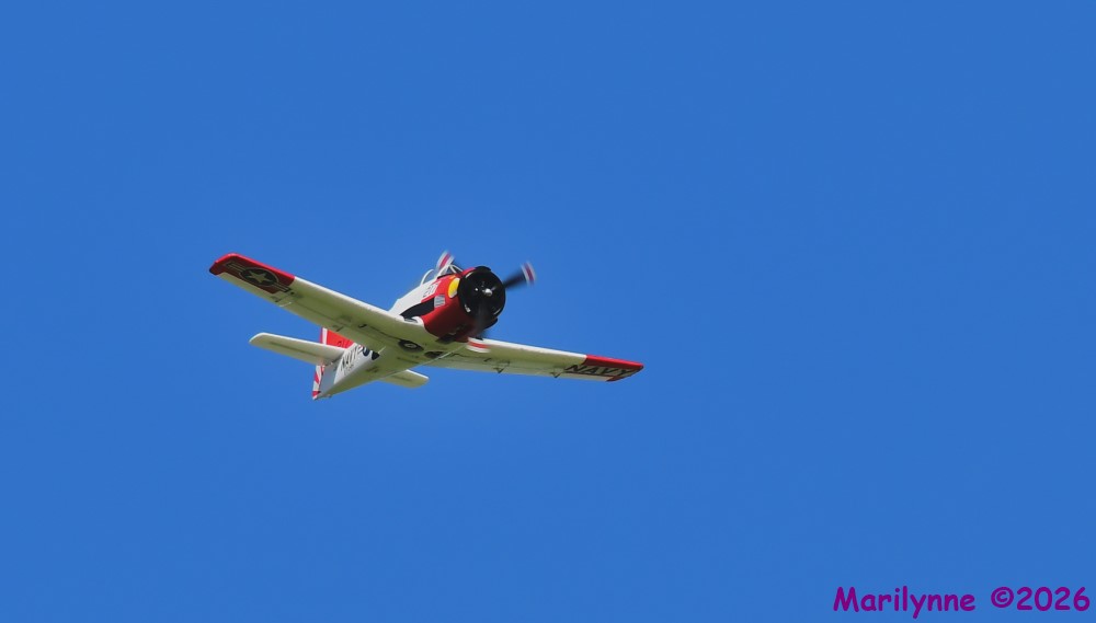 DSC_3678_001.JPG