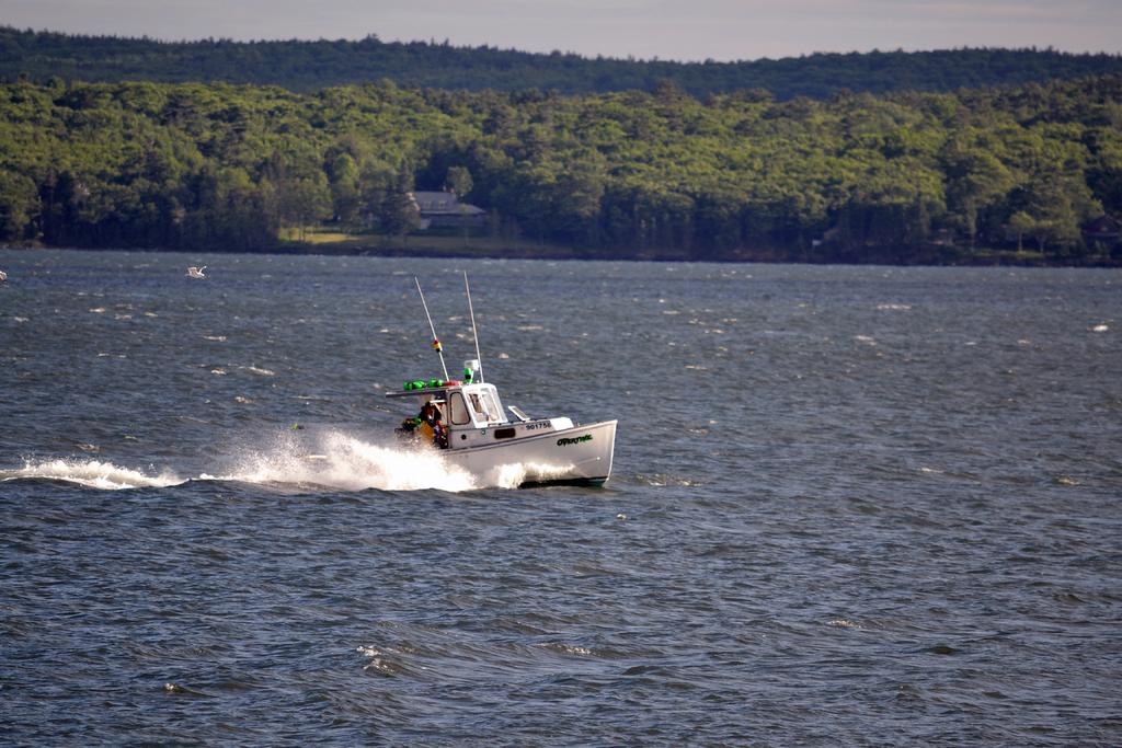 DSC_3679.jpg