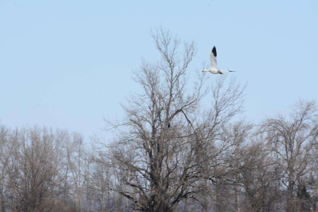 DSC_3680.jpg