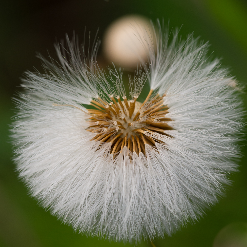 DSC_3682.jpg