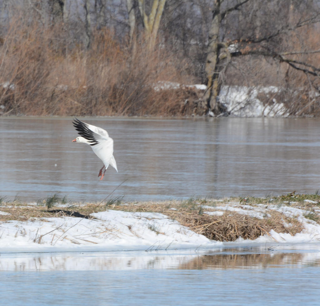 DSC_3687.jpg