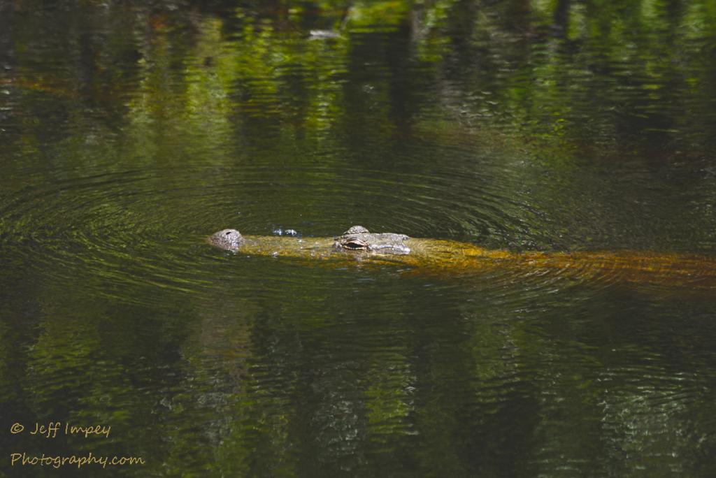 DSC_3688.jpg