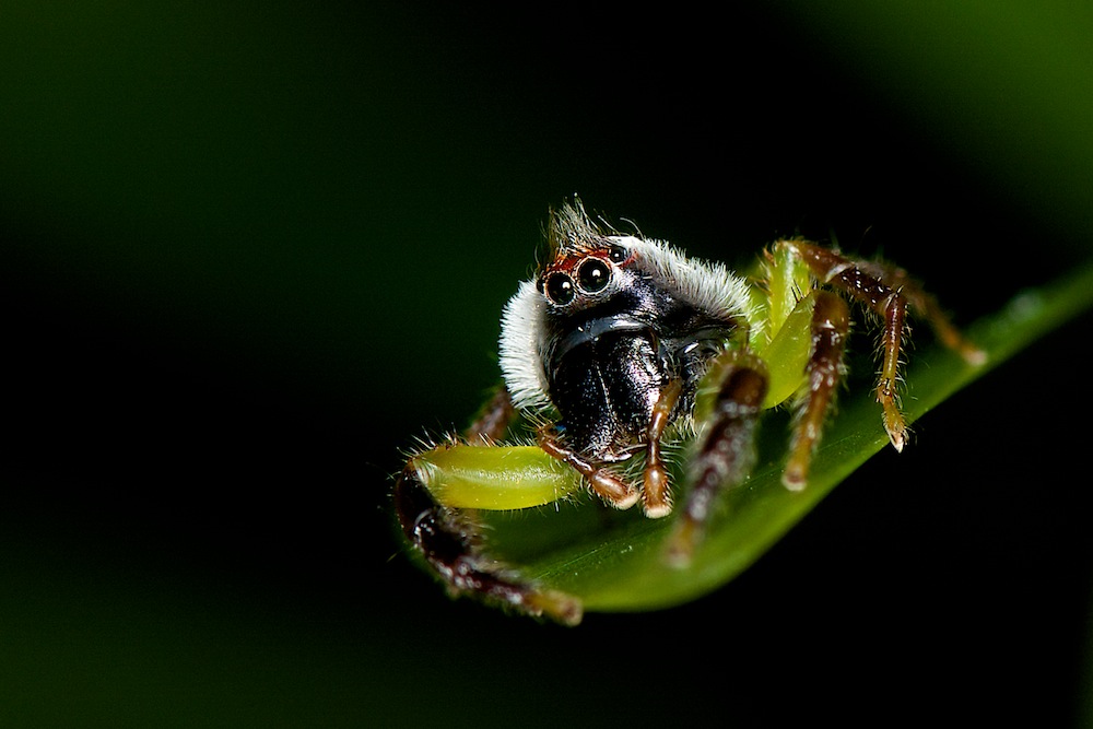 DSC_3692.jpg