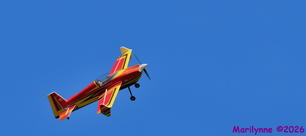 DSC_3694_001.JPG