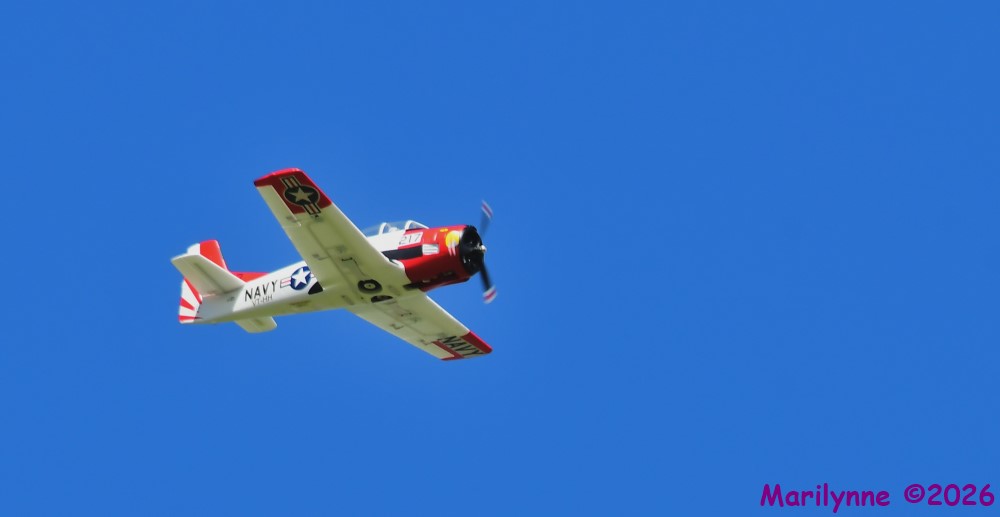 DSC_3699_001.JPG
