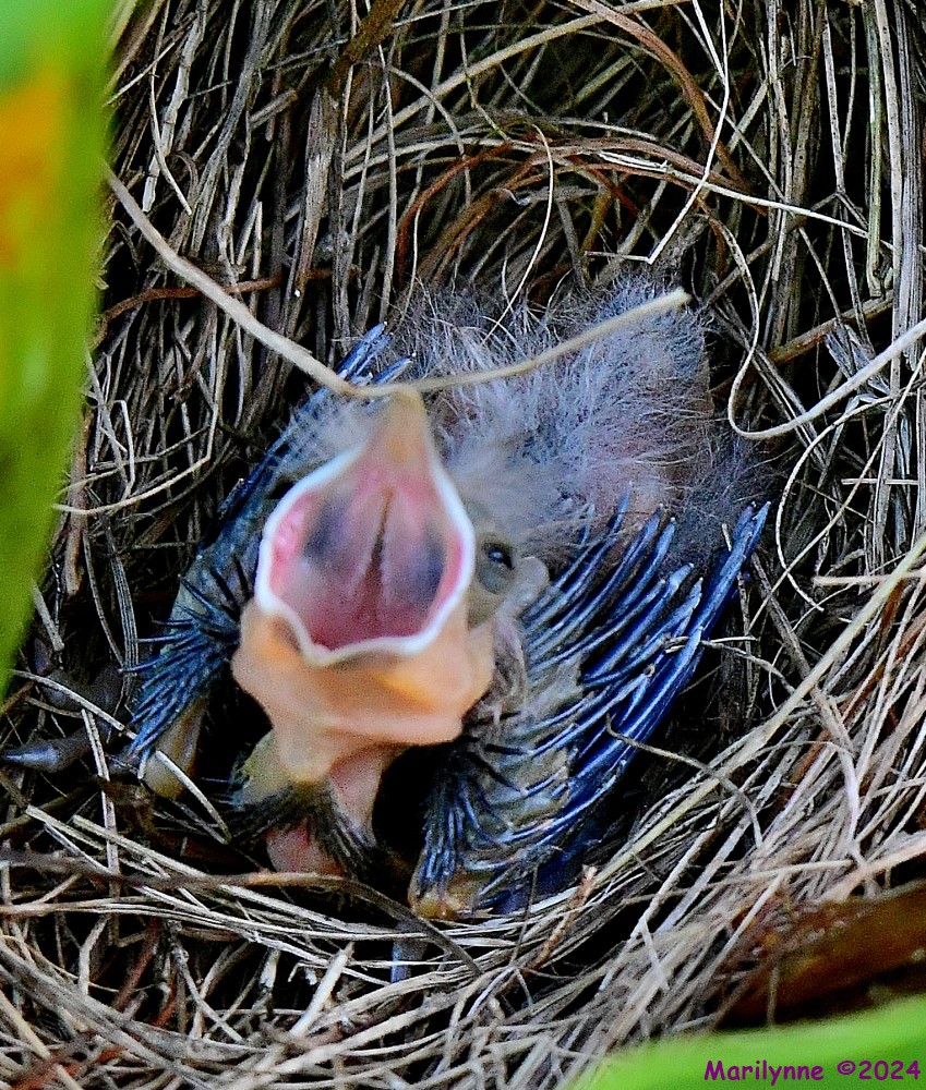 DSC_3708_001.JPG