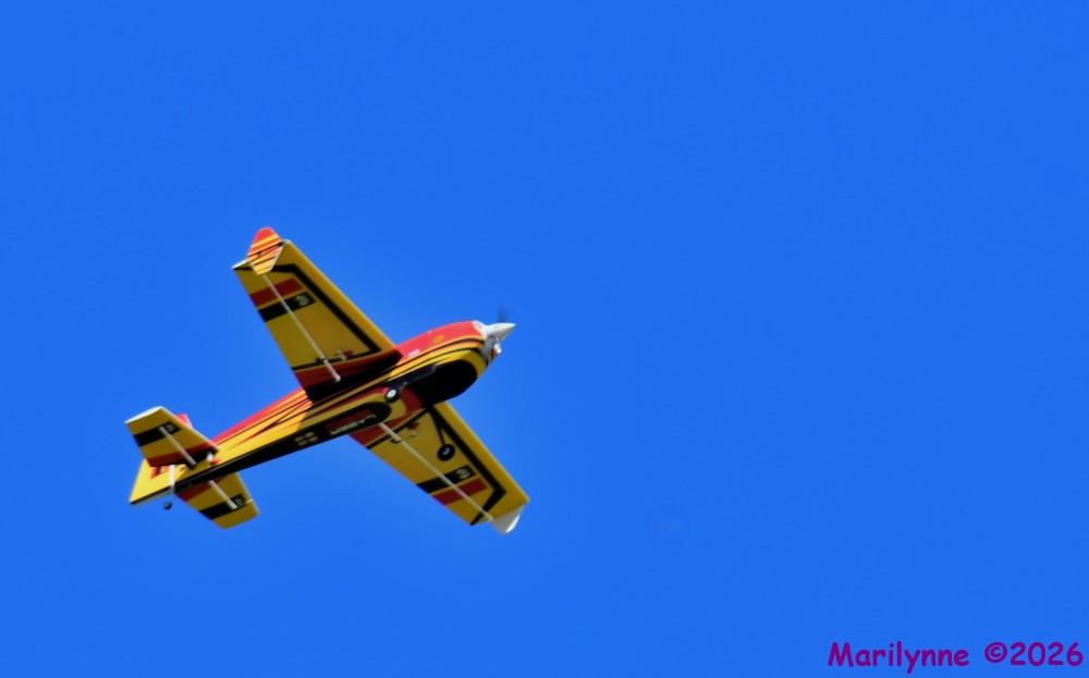 DSC_3709_001.JPG